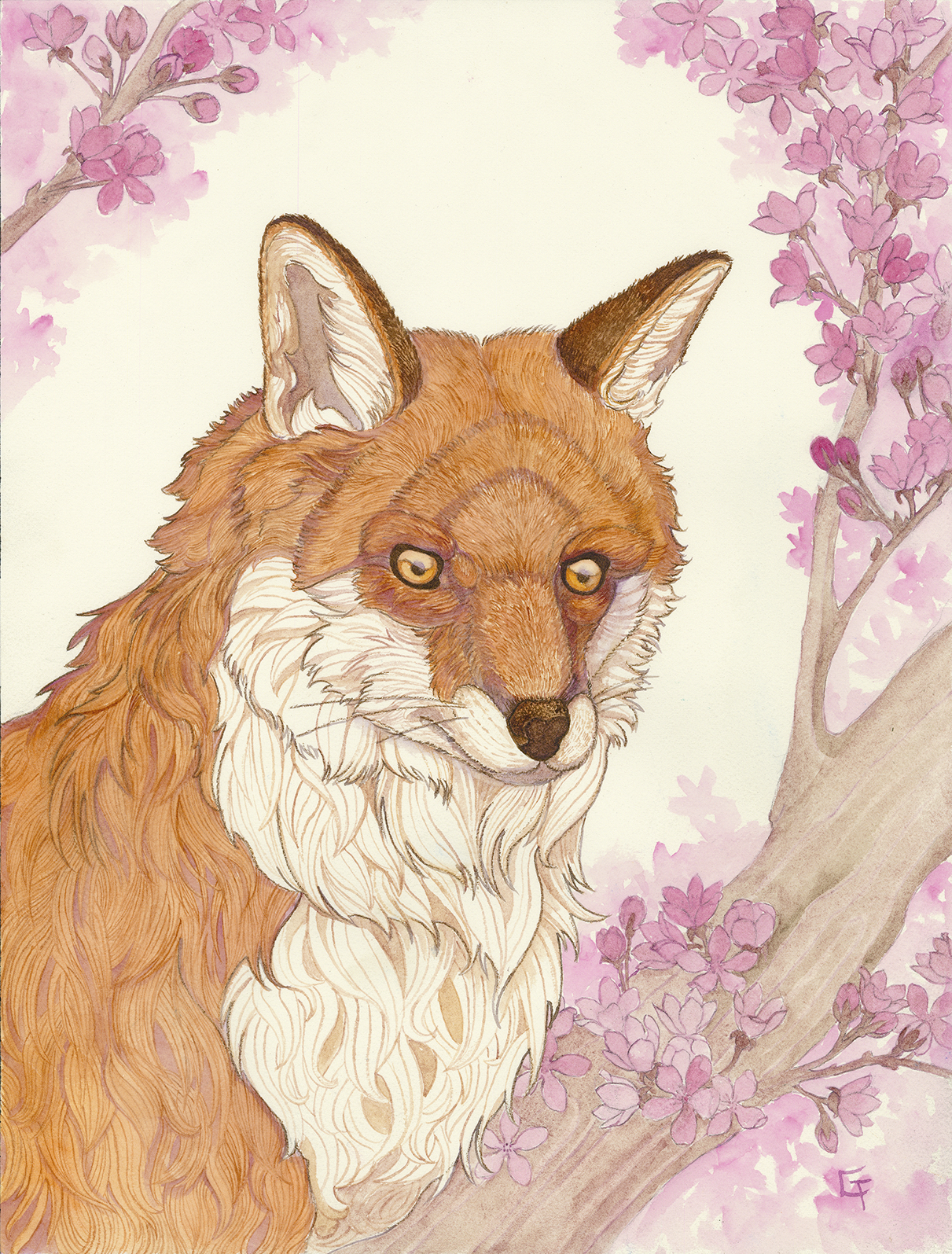 Fox And Blossoms 